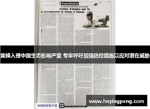 黄蜂入侵中国生态影响严重 专家呼吁加强防控措施以应对潜在威胁 黄蜂入侵中国生态影响严重 专家呼吁加强防控措施以应对潜在威胁